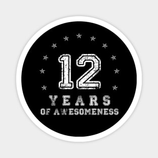 Vintage 12 years of awesomeness Magnet